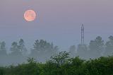 Setting Moon_10895-8